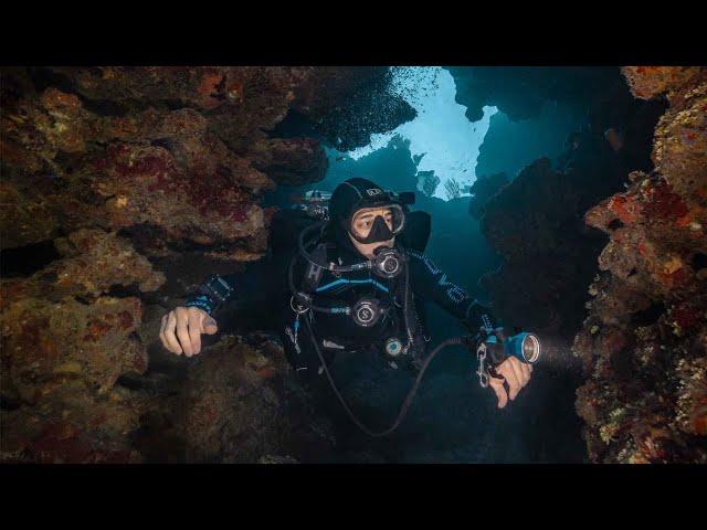 Scuba Diving in Roatan Honduras, what to expect in 2024 (cocoview resort)