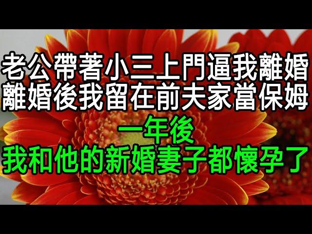 老公帶著小三上門逼我離婚，離婚後我留在前夫家當保姆，一年後我和他的新婚妻子都懷孕了