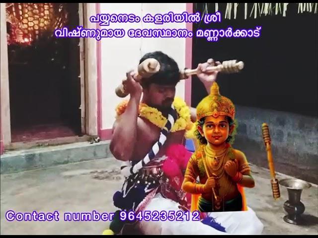 vishnumaya devasthanam mannarkkad