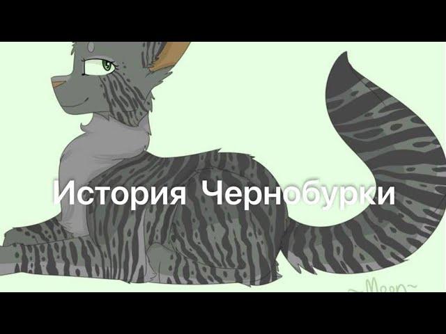 История Чернобурки(по просьбе подписчицы)/Коты-воители