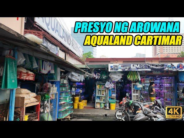 Presyo Ng Arowana Sa AQUALAND ALLEY Cartimar