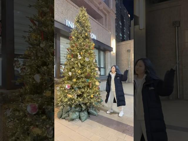 이거 하려고 크리스마스까지 기다림  #christmas #magic