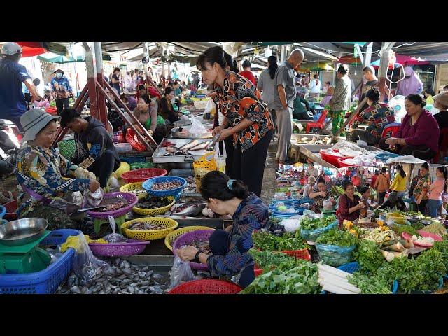 Amazing Morning Food Market Scene - Plenty Rural Eel, River Fish, Vegetable, Chickens & More Food