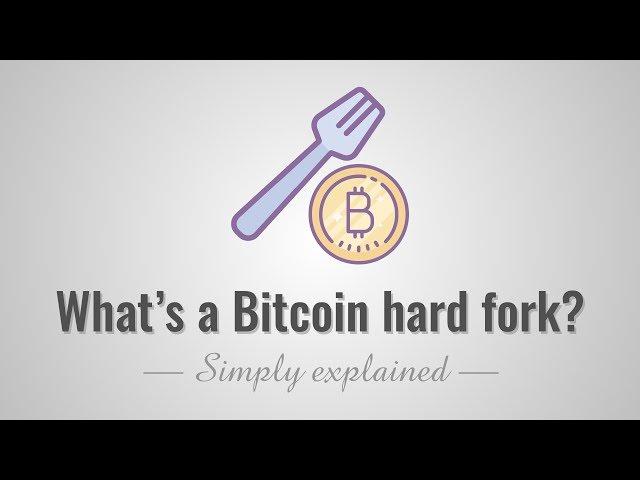 What is a Bitcoin hard fork? Simply Explained!