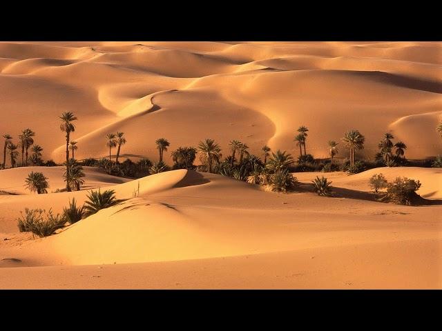 Kultur Beat | Sound Of The Desert Vol. 1 Music Mix #52