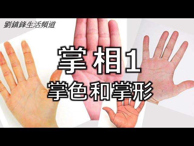 掌相  1 掌色和掌形 (開啟字幕)｜我手影我心｜劉鎮鋒生活頻道