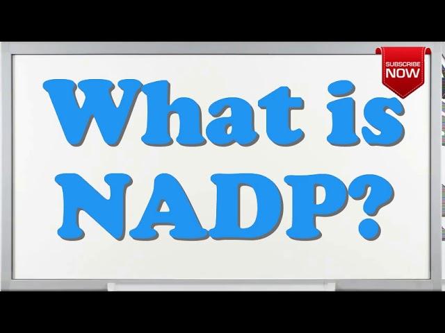 What is the full form of NADP?