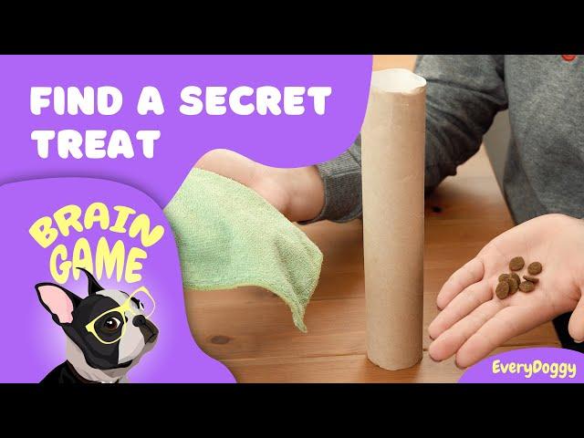 Brain Games for Puppies and Dogs — Find a Secret Treats DIY | EveryDoggy