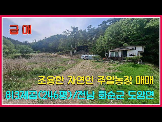 급매!! 조용한 자연인 주말농장 매매 / 813제곱(246평) / 전남 화순군 도암면 / 강산부동산 / 화순부동산 / 화순주말농장 / 화순농막 / 화순농가주택