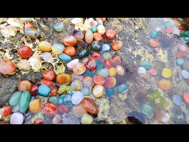 The entire beach is full of agate balls. Picking up gems while catching seafood