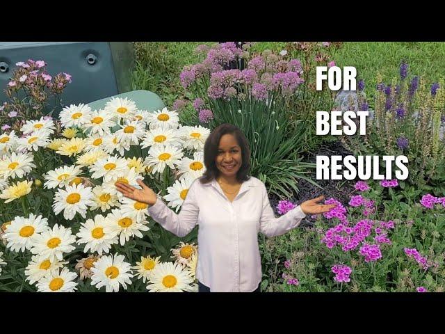 8 Common Perennial Mistakes to Avoid & How to Fix Them