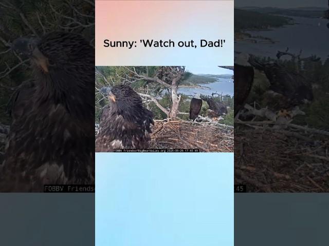 Oh no, Sunny! Not again! 