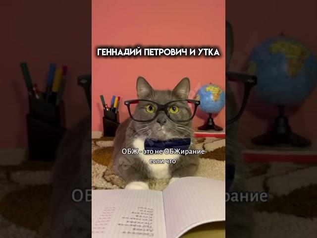 @kotiynet #kotiynet #школакотиков #врек