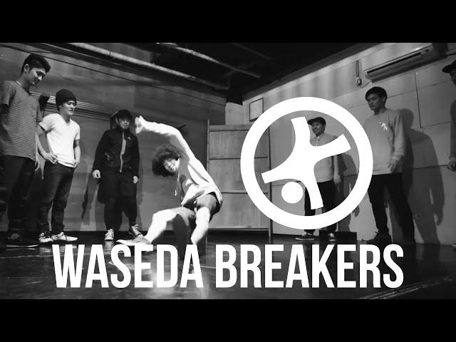 WASEDA BREAKERS | STRIFE