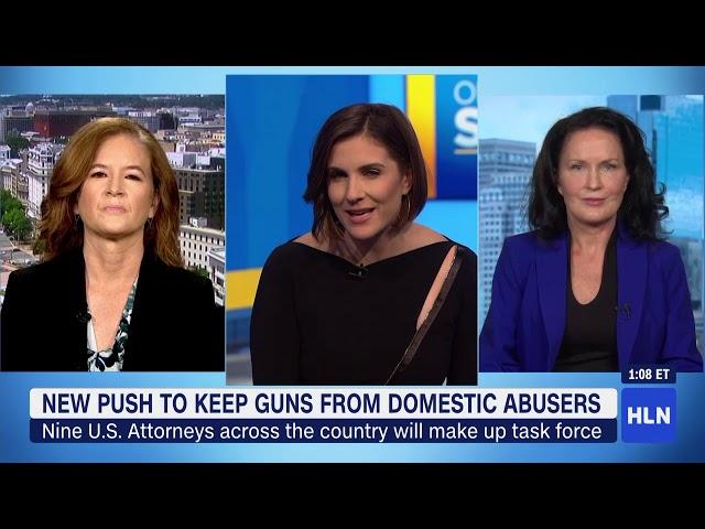 hln on the story about domestic violence and guns with Erica Hill