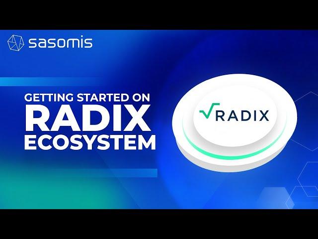 setting up your radix wallet (radix blockchain)