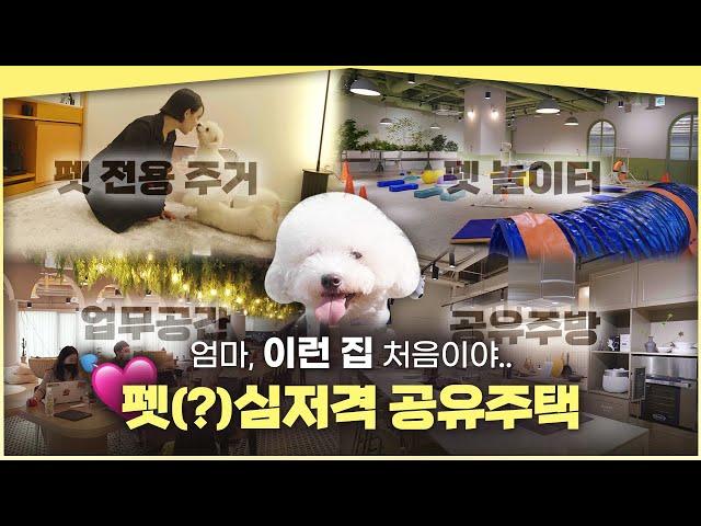 혼자 있지만 외로운 건 싫어! 강남에 뜬 펫 프렌들리공유주택 | SK 에피소드 서초 | 공간+삶 프로젝트 re.PLACE