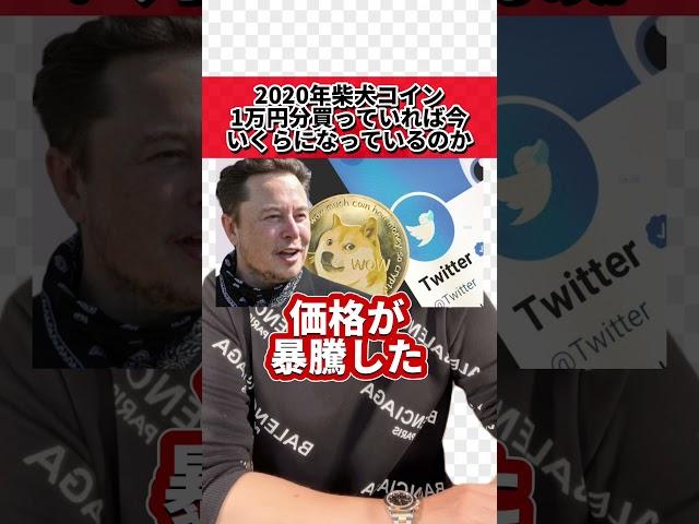 2020年柴犬コイン1万円分買っていれば今いくらになっているのか？