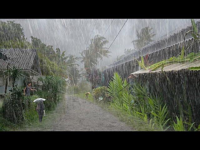 Super Heavy Rain and strong winds in my village, thunderstorms, fell asleep with the sound of rain