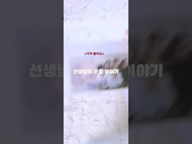 선생님의 썰ㅋㅋ #모아 #투바투 #txt #포카챠 #썰풀기 #관리자님추천뜨게해주세요