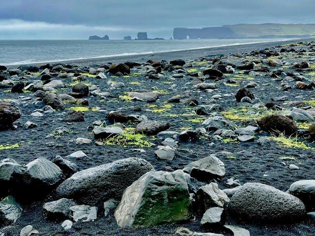 Iceland's famous Black Sand beach – without the tourists!