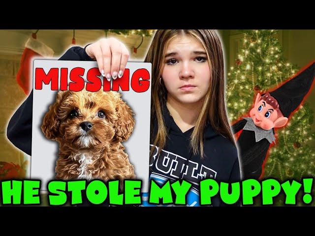 Our PUPPY Is MISSING! The EVIL ELF TOOK HER!