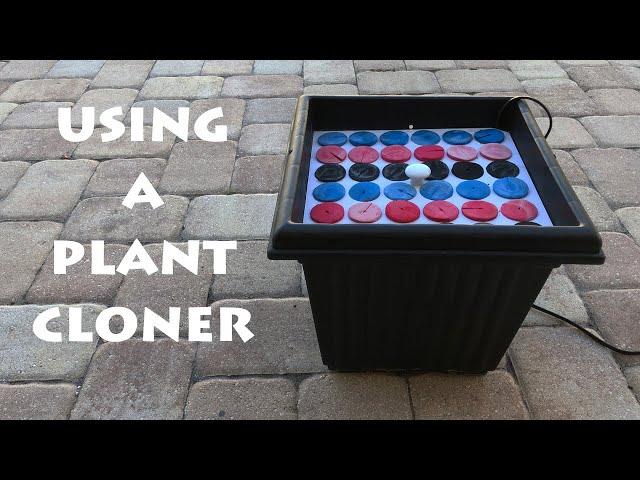 Using an Aeroponic Cloner for Plant Propagation