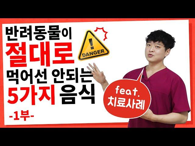 반려동물이 절대로 먹어선 안되는 5가지 음식과 치료사례 [24시수동물병원]