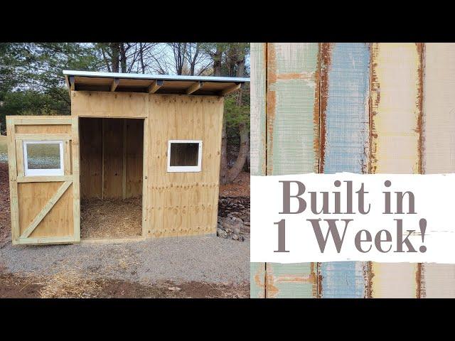 How to Build a Goat Shed (in 1 Week!)