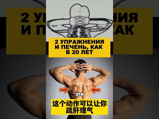 2 упражнения и печень, как в 20 лет. #здоровье #долголетие #омоложение #печень