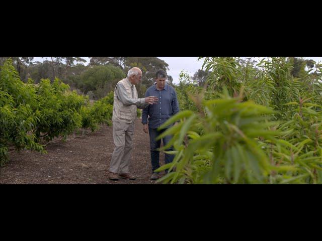 Neutrog TV | How to Feed, Water & Mulch Fruit Trees with Ian Tolley + The Rare Fruit Aboretum