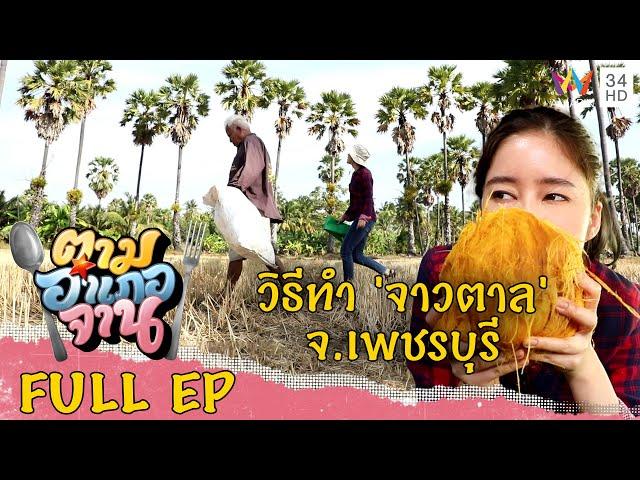 ตามส่องวิธีทำ จาวตาล จ.เพชรบุรี | ตามอำเภอจาน | 14 ม.ค.66 Full EP