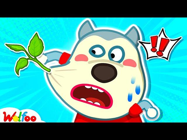 Oh No! A Tree Is Growing On My Face! Wolfoo Funny Videos For Kids | Wolfoo Canada