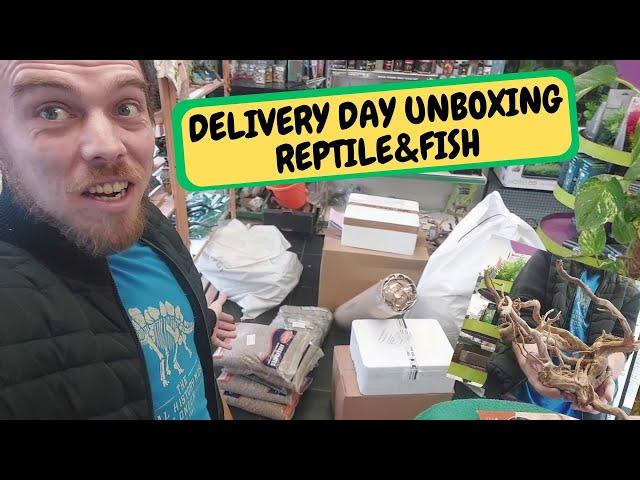 Delivery Day Unboxing Fish and Reptile STUFF !!!!! (Snake Island Exotics) #unboxing #fish #reptiles