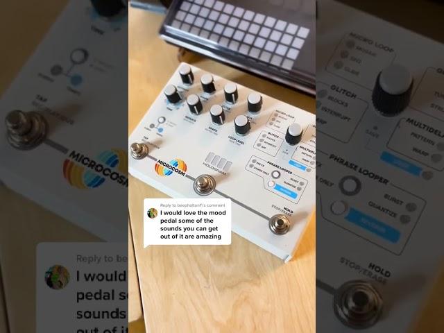 Some alternatives #guitarpedals #reverb #musician #musicproducer #shorts