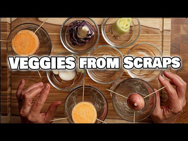 Grow Your Own Veggies from Kitchen Scraps