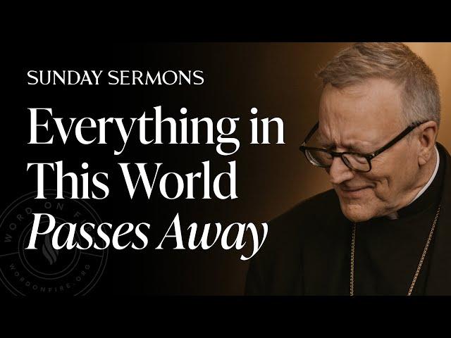 Everything in This World Passes Away - Bishop Barron's Sunday Sermon