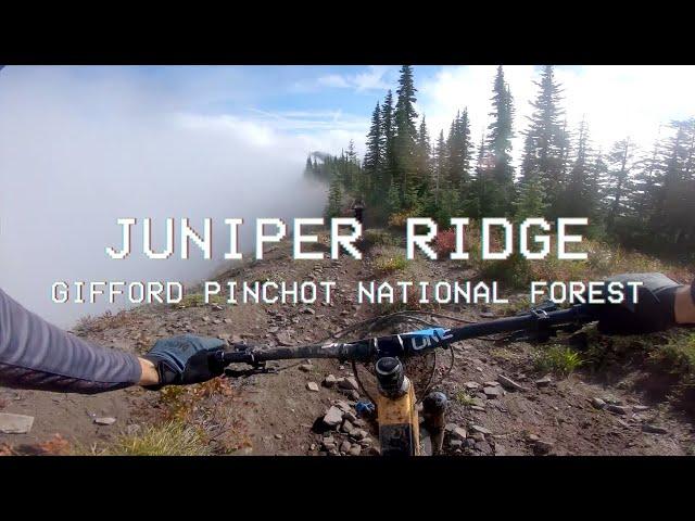 Thomas Vanderham rides Juniper Ridge // [POV] Perspectives on Velocity