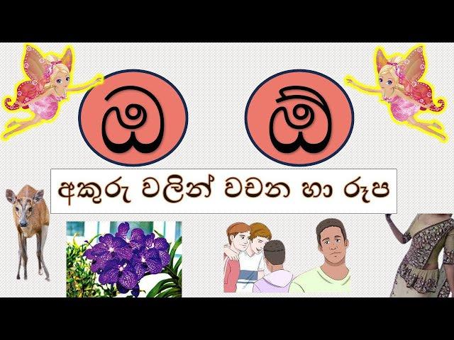 ඔ,ඕ අකුරු වලින් වචන හා රූප සහිතව-#රටා මවමු#sinhala alphabet-සිංහල හෝඩිය #educationalvideo #kidsvideo