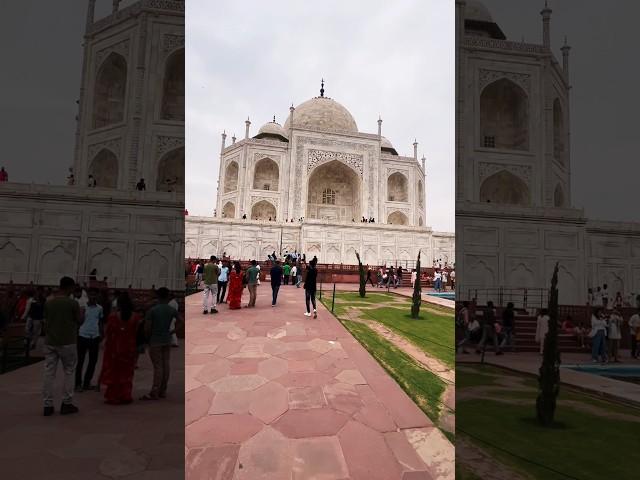 Taj mahal #travel #reels #shorts #youtubeshorts #delhi #tajmahal #india #viral