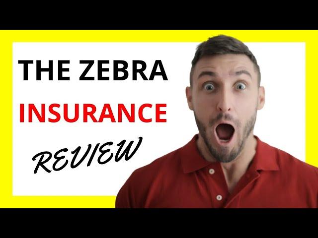  The Zebra Insurance Review: Pros and Cons of Using Their Comparison Platform