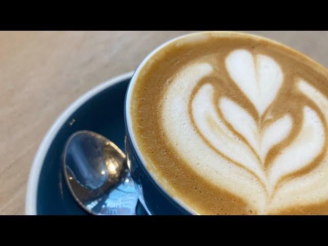 Whats the difference between a latte and a flat white? Barista basics explained 