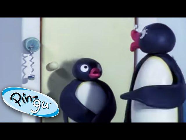 Pingu and the Broken Doorbell | Pingu Official | Cartoons for Kids