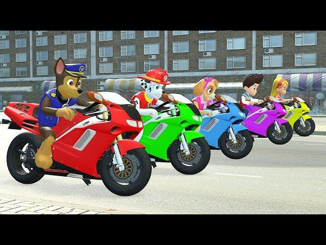 PAW Patrol Ryder Call for help Rubble, Skye vs rocky marshall! PAW Patrol Episodes | Papup Cartoon