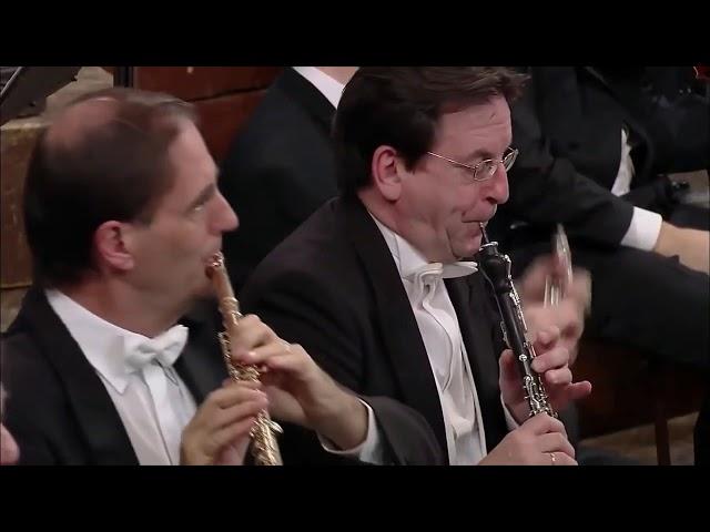 Beethoven - Symphony No 7 in A major, Op 92 II, Allegretto (Thielemann)
