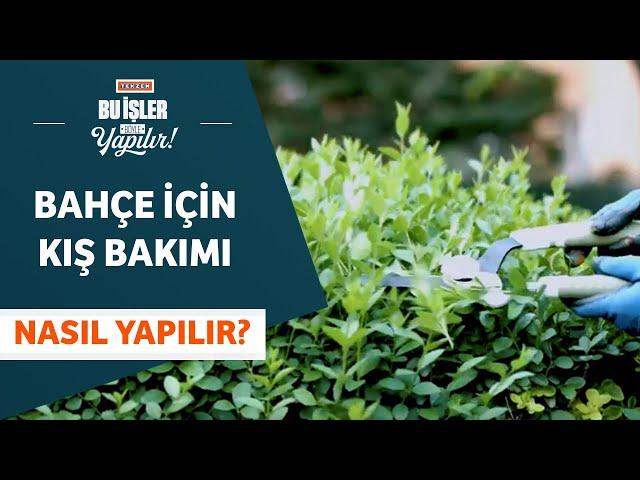 Bahçede Kış Bakımı Nasıl Yapılır? - Tekzen