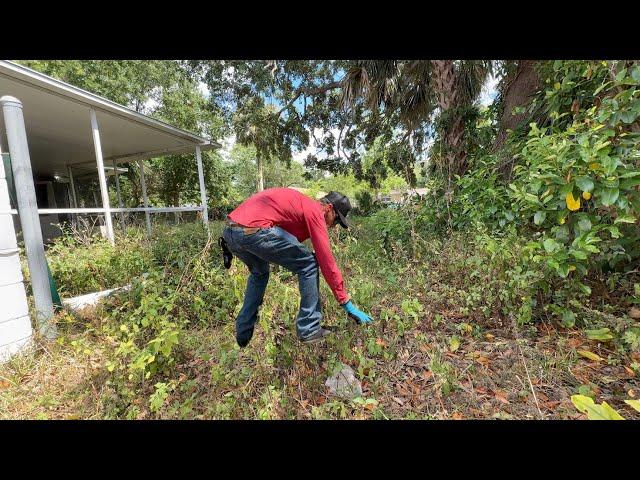 You’ve seen me mow insane yards before… but never like this!!!