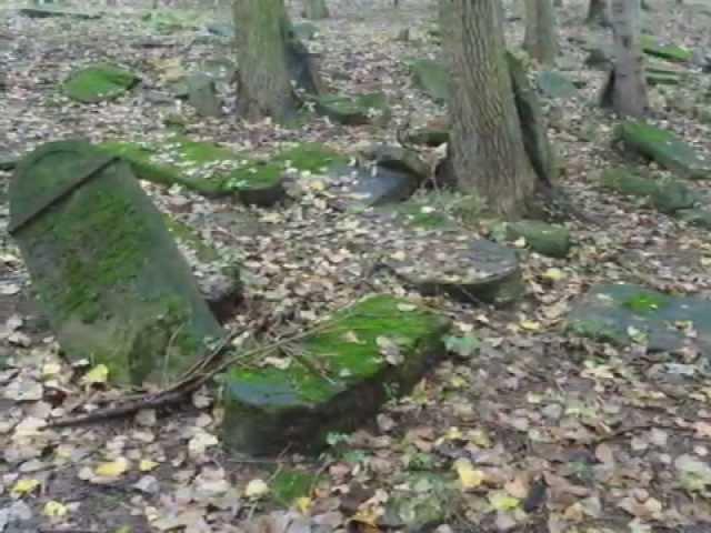 Jewish Cemetery in Bedzin 1831 Ghost walk