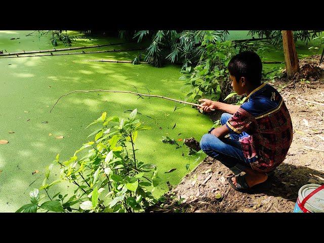 Hook Fishing - Traditional Hook Fishing - Fishing Sultana.