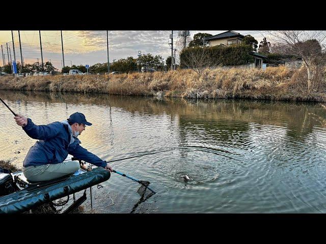 春の乗っ込み霞ヶ浦でへらぶな釣り【花室川】